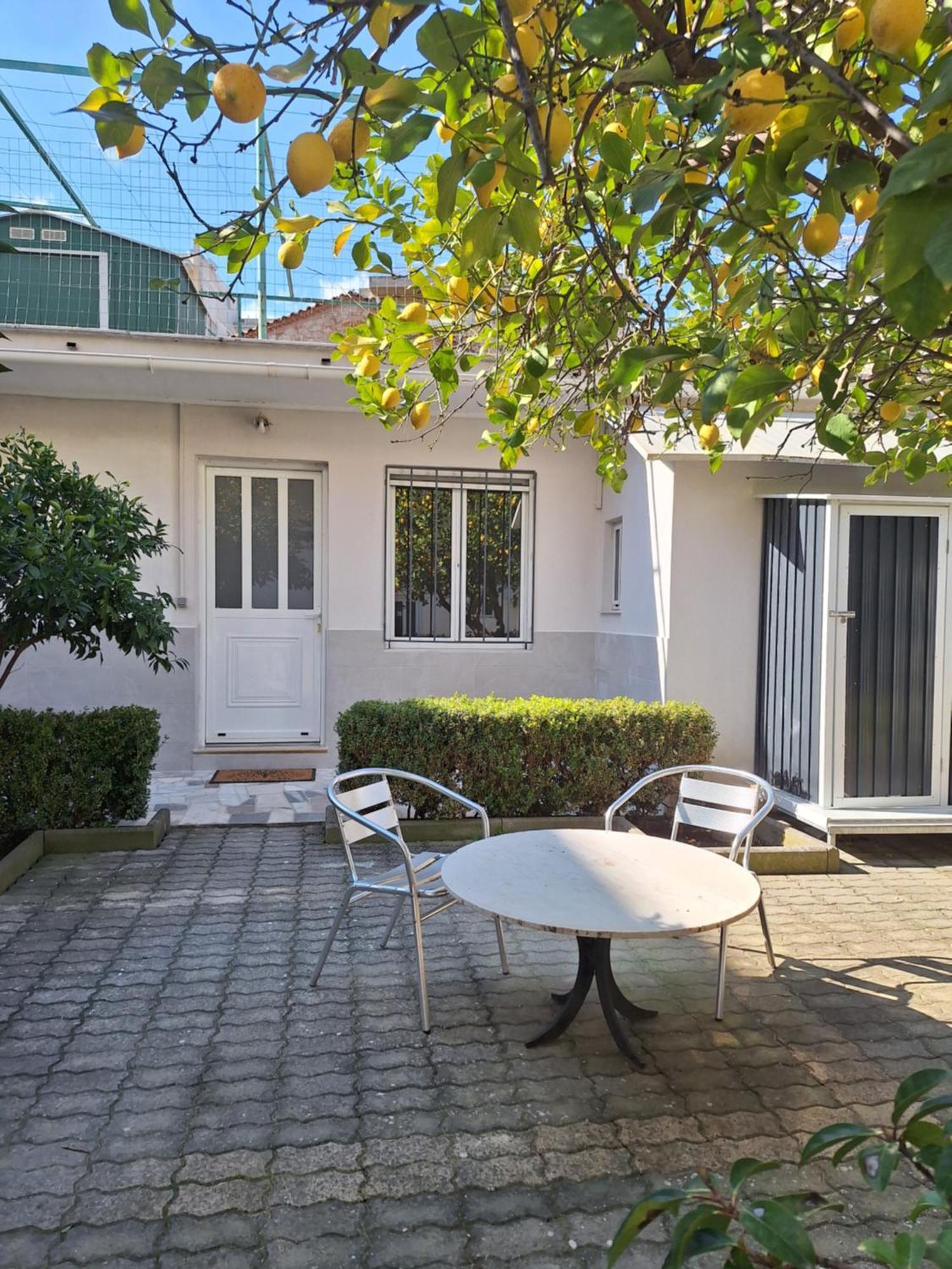 Garden Apartment